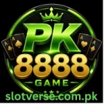 PK8888 Game