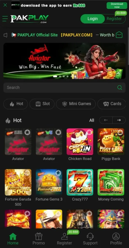 Pakplay game