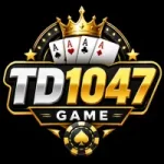 TD1947 Game