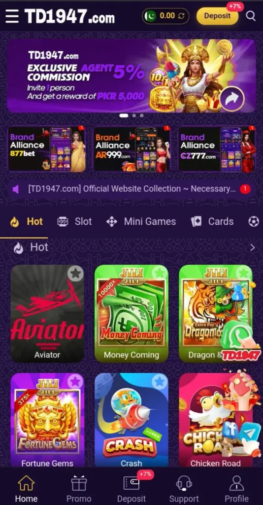 TD1047 Game